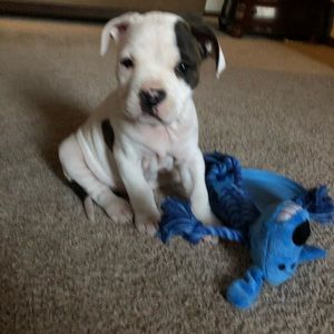 Meet your Posher, Nathan